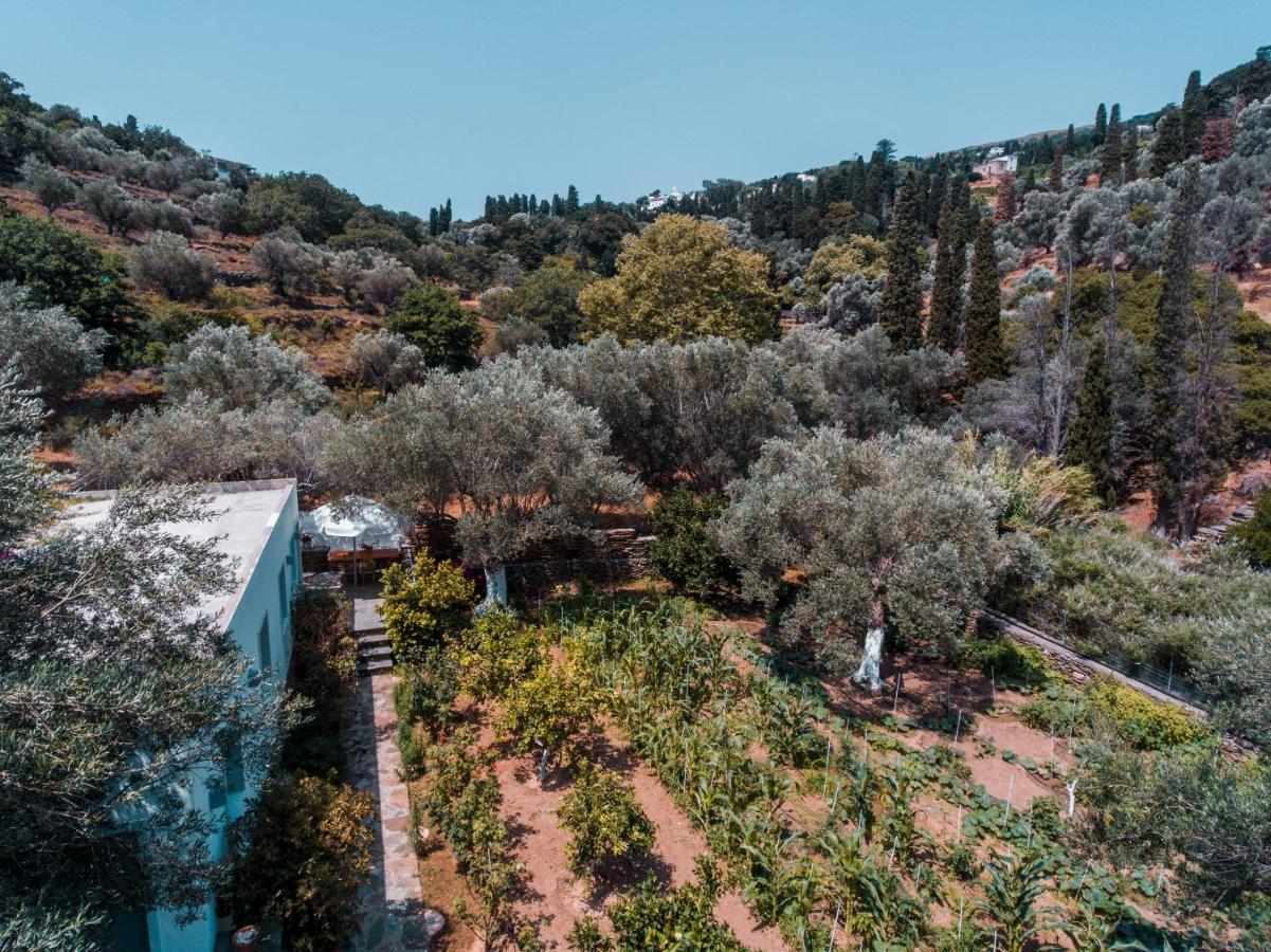 Small Paradise Andros Town Exterior photo