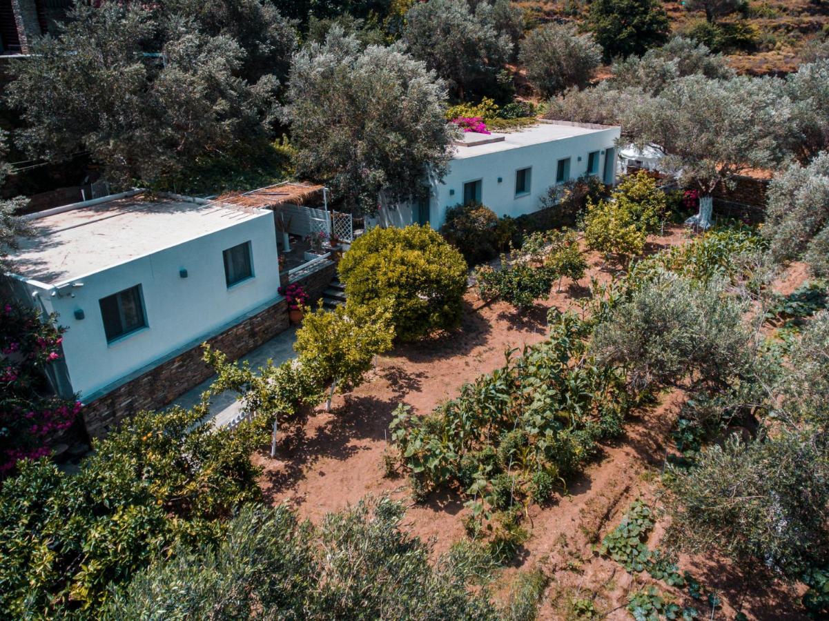 Small Paradise Andros Town Exterior photo